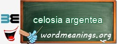 WordMeaning blackboard for celosia argentea